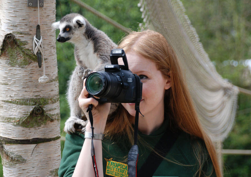 animals looking at camera 2